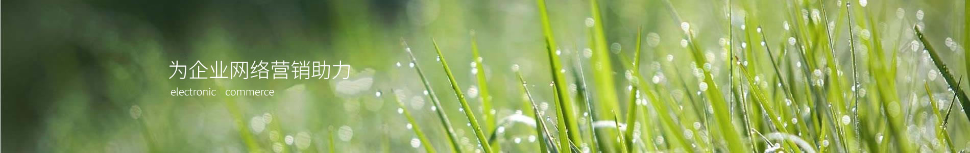 ൺδҰƼ޹˾